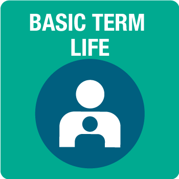 Basic Term Life Insurance