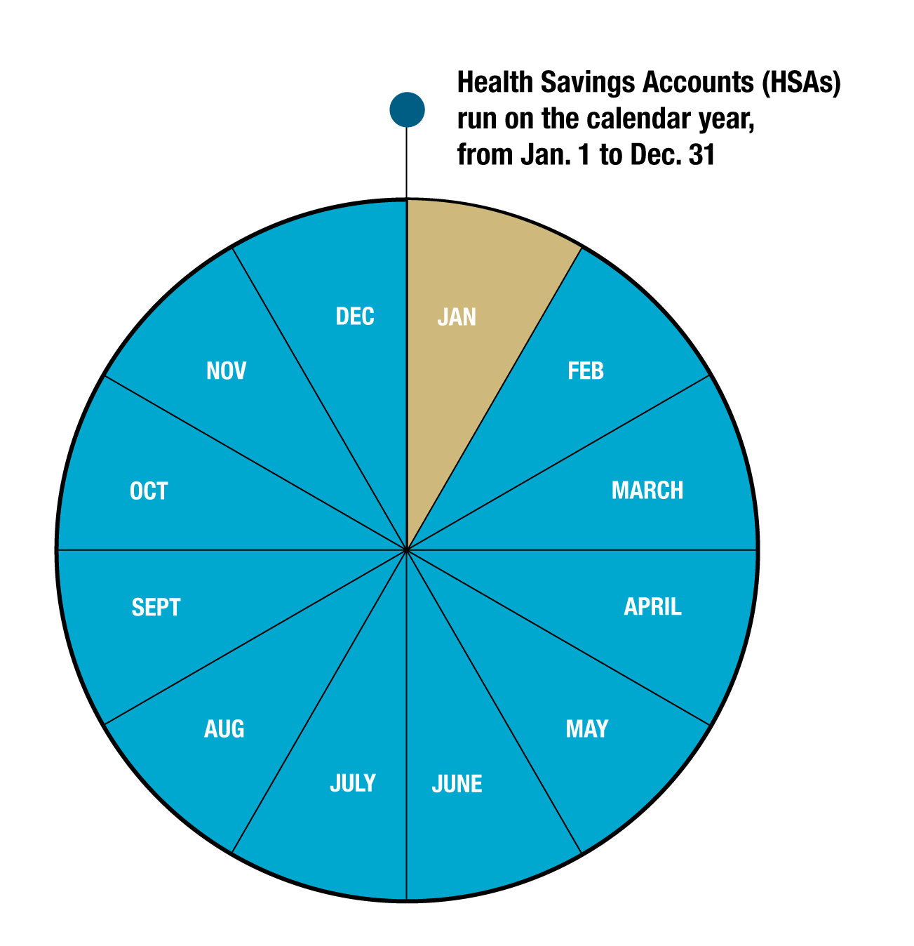 Health Savings Account (HSA) Contribution Rules