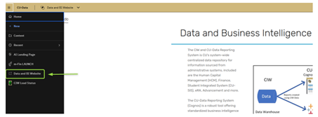 Accessing the Data and BI website in Cognos