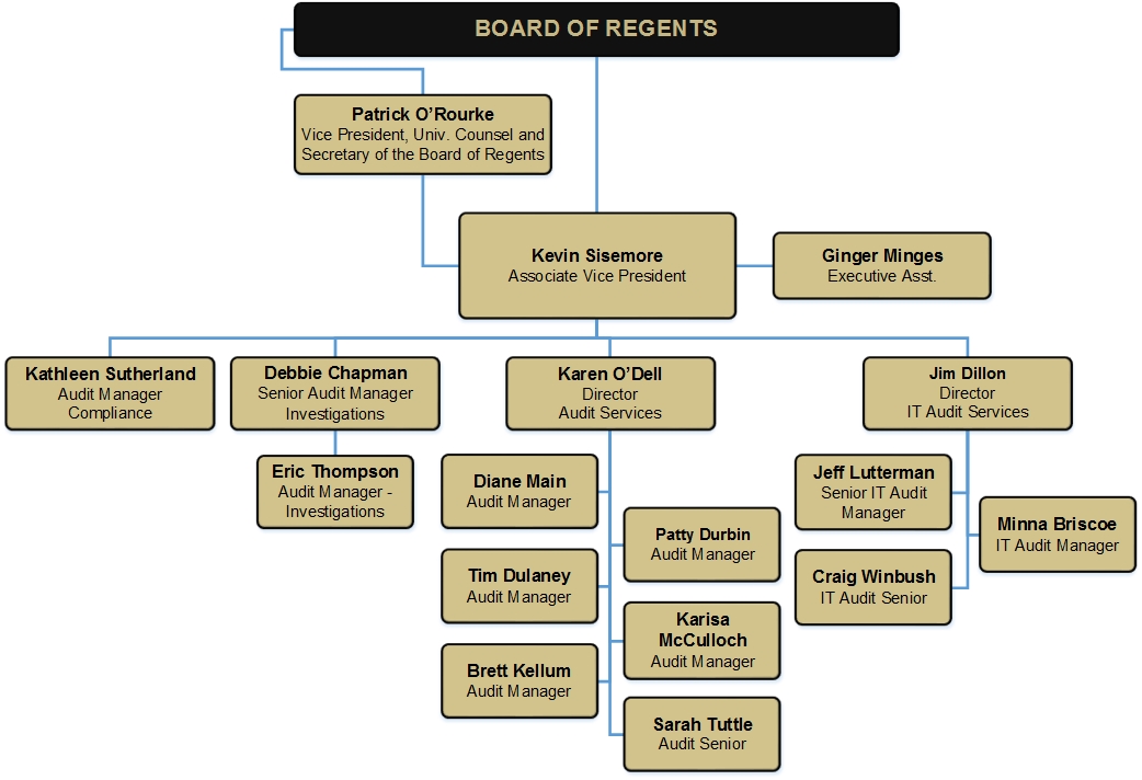 Internal Audit Organization Chart