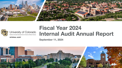 Internal Audit Annual Report