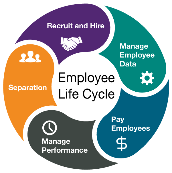 Using The Employee Life Cycle As Your Roadmap To Empl - vrogue.co