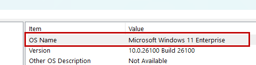A screenshot of System Information menu, displaying the OS Name.