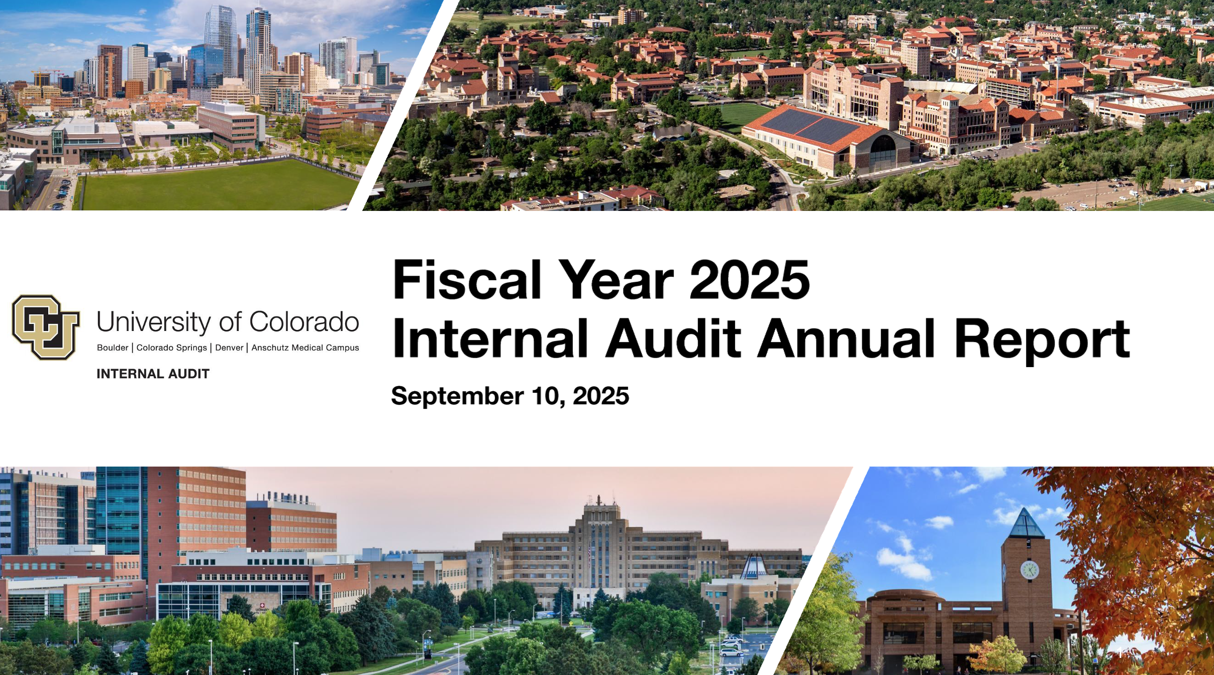 Internal Audit Annual Report