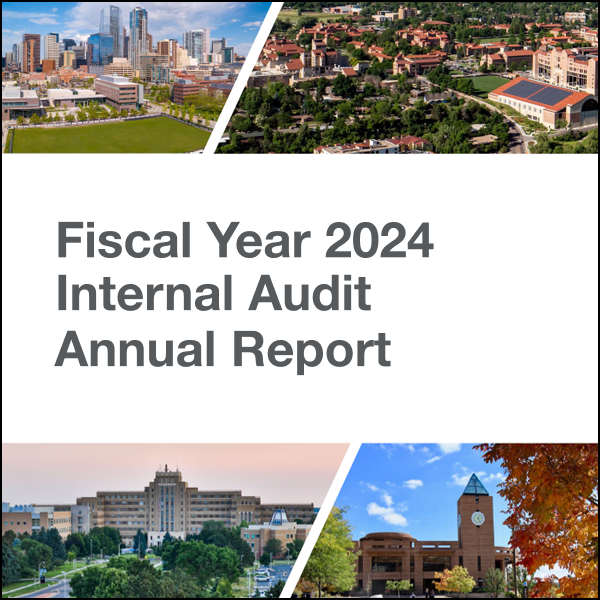 FY 24 Internal Audit Annual Report