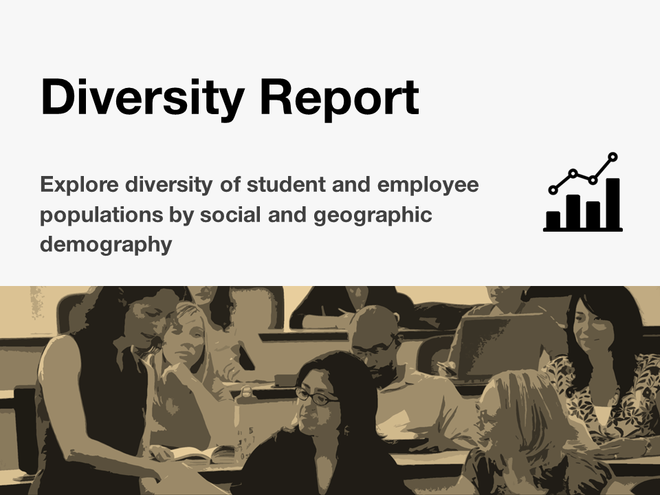 CU Diversity Report